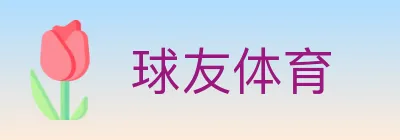 球友体育 logo